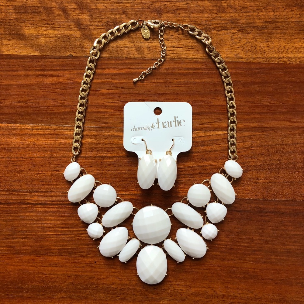 🌵Charming Charlie Necklace and Earring Set